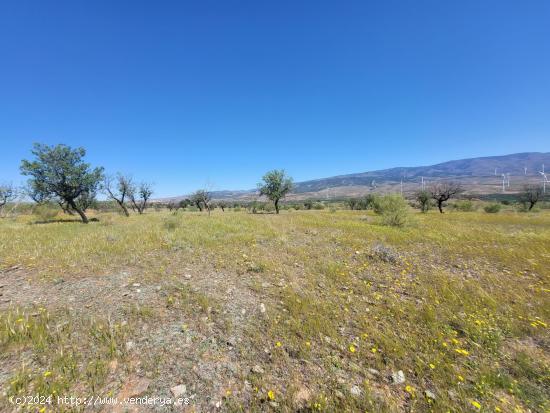 SE VENDE PARCELA  RUSTICA EN ABRUCENA  ZONA CAMPILLO - ALMERIA