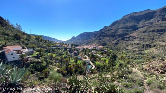  Terrenos Rústicos en Fataga - LAS PALMAS 