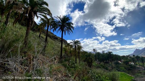 Terrenos Rústicos en Fataga - LAS PALMAS