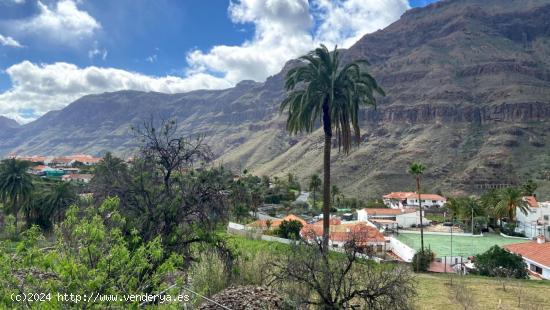 Terrenos Rústicos en Fataga - LAS PALMAS