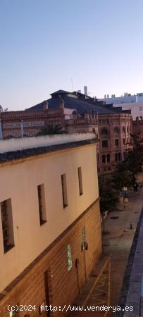 FINCA EN EL CENTRO DE CADIZ, JUNTO AL TEATRO FALLA - CADIZ