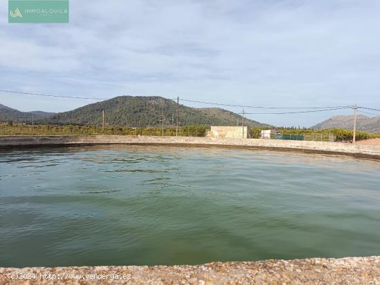 Finca no edificable con Luz Y Agua - BALEARES