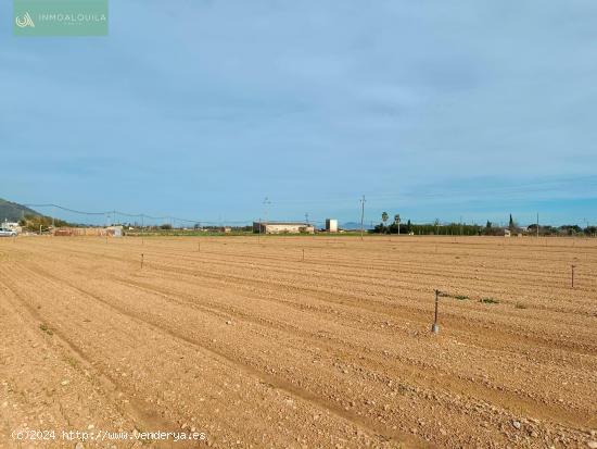 Finca no edificable con Luz Y Agua - BALEARES