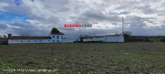  CASA DE CAMPO EN EL VISO DE LOS PEDROCHES - CORDOBA 