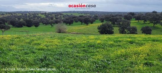 CASA DE CAMPO EN EL VISO DE LOS PEDROCHES - CORDOBA