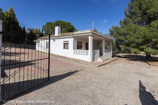  CAMPO EN CAMARA CON TERRENO DE 2.100 m2 - ALICANTE 