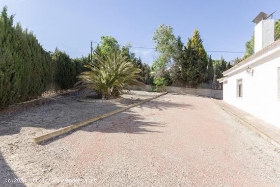 CAMPO EN CAMARA CON TERRENO DE 2.100 m2 - ALICANTE