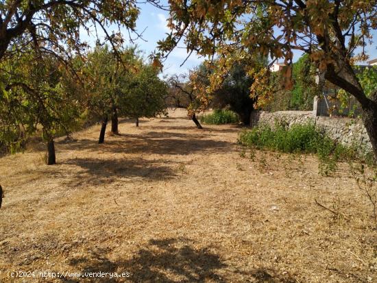 Solar en Moscari - BALEARES