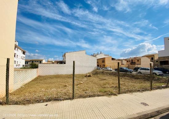 SOLAR EN VENTA EN BINISSALEM - BALEARES