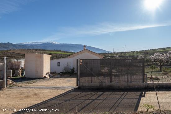 Magnífica finca rústica en El Padul - GRANADA