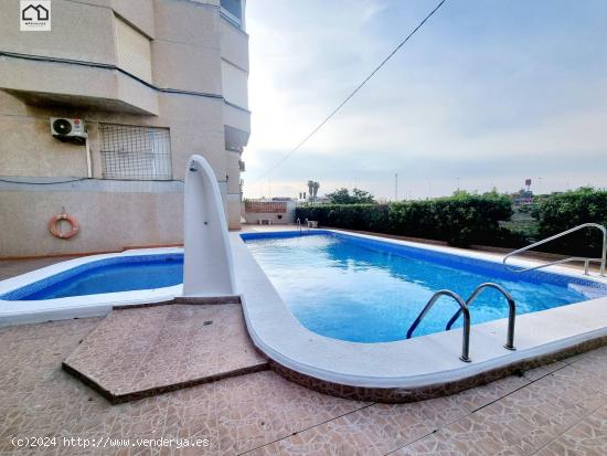 APIHOUSE VENDE PISO CON PISCINA COMUNITARIA EN TORREVIEJA. PRECIO 147.000€ - ALICANTE