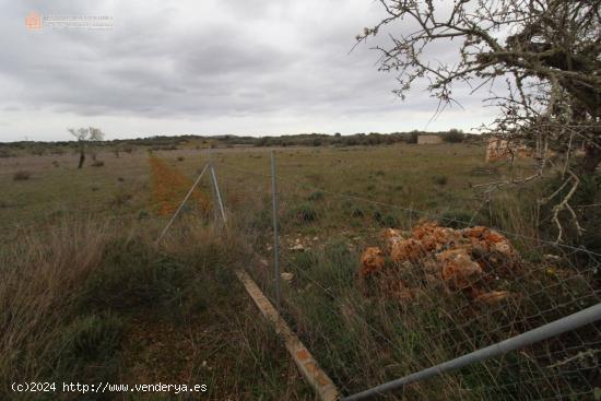 Terrenos Rústicos Edificable en Ses Salines - BALEARES