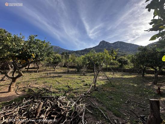 Huerto Con Estanque y Agua en Propiedad - BALEARES