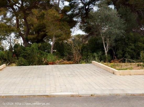 Terreno urbano en Ses Cadenas (en el municipio de PALMA) - BALEARES