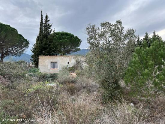 Finca RÚSTICA CON CASETA DE 40 METROS DE HERRAMIENTAS - TARRAGONA