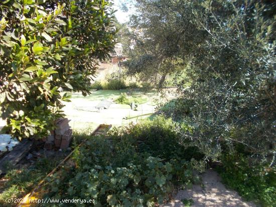 Fantástica parcela en El Vendrell - Urbanización Oasis - TARRAGONA