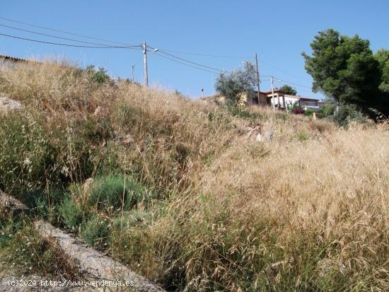 Terreno en la Bisbal del Penedés - TARRAGONA