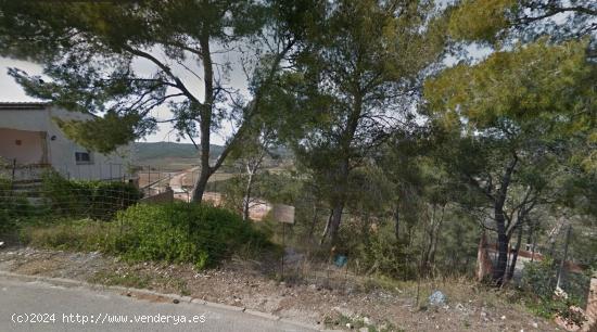 Terreno en la zona de La Bisbal del Penedès - TARRAGONA