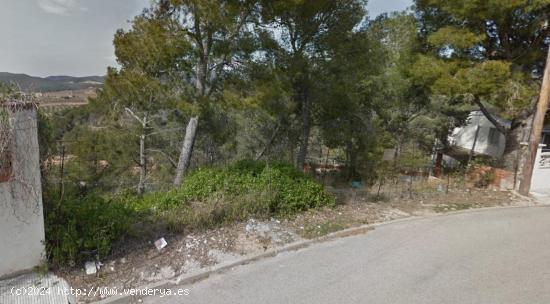 Terreno en la zona de La Bisbal del Penedès - TARRAGONA