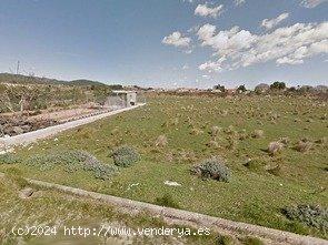 Terreno en la zona de Sant Jaume dels Domenys - TARRAGONA