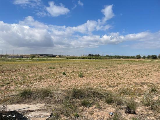 TERRENO RURAL - VALENCIA