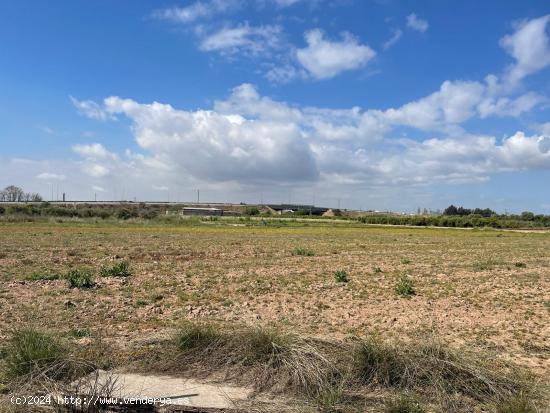 TERRENO RURAL - VALENCIA