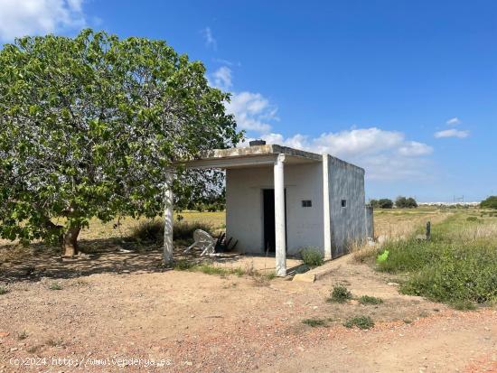 TERRENO RURAL - VALENCIA