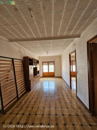  SE VENDE CASA EN EL CENTRO DE NOVELDA (ALICANTE) - ALICANTE 