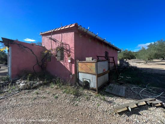 FINCA RÚSTICA MAS DE BARBERANS - TARRAGONA