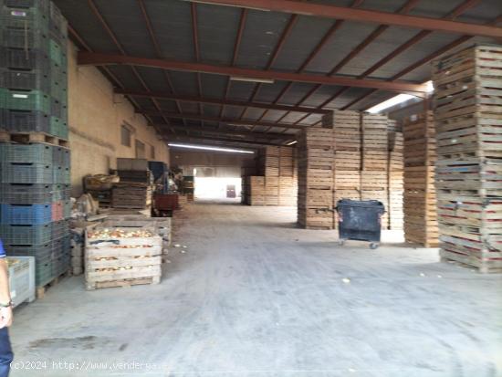 NAVE INDUSTRIAL CON PARCELA - ALICANTE