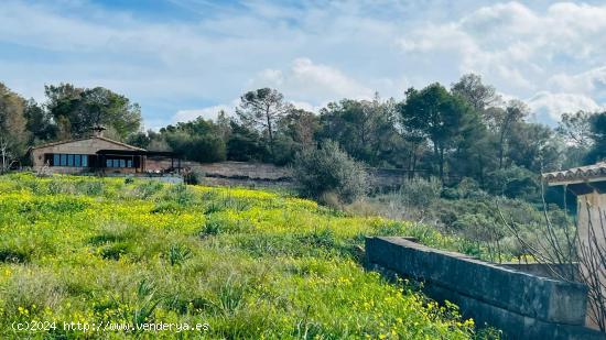 2 CASA CON TERRENO EN PORTOL - BALEARES