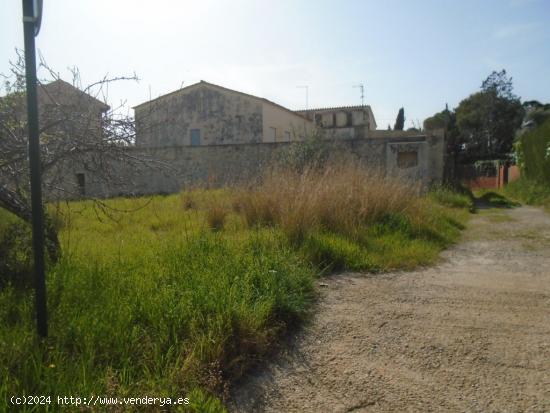 TERRENOS EN EL CENTRO DE CUNIT - TARRAGONA