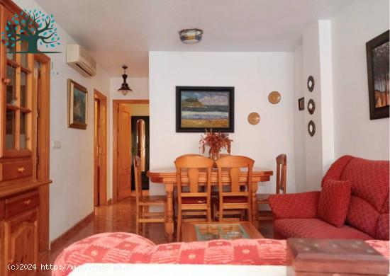 APARTAMENTO EN PLANTA BAJA CERCA DEL PASEO - MURCIA