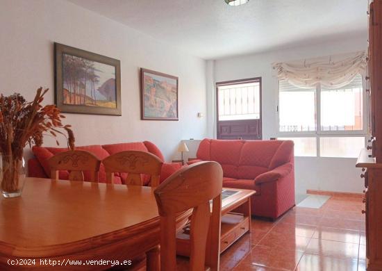 APARTAMENTO EN PLANTA BAJA CERCA DEL PASEO - MURCIA