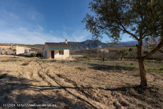  Magnífica finca rústica en El Padul - GRANADA 