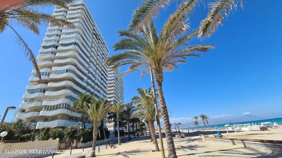  Espectacular apartamento en 1ª linea de Playa de San Juan - ALICANTE 