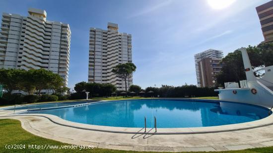 Espectacular apartamento en 1ª linea de Playa de San Juan - ALICANTE