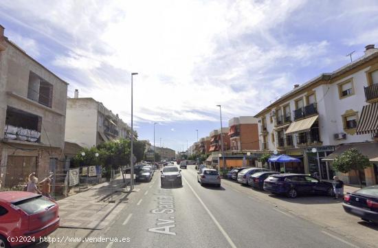  LOCAL EN PALMA DEL RÍO - CORDOBA 