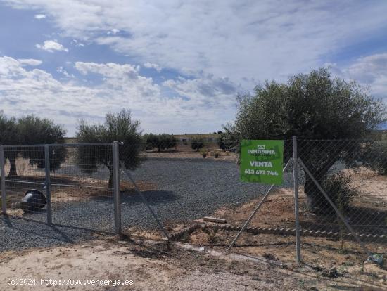  Terreno secano- Condado de Alhama, Alhama de Murcia - MURCIA 