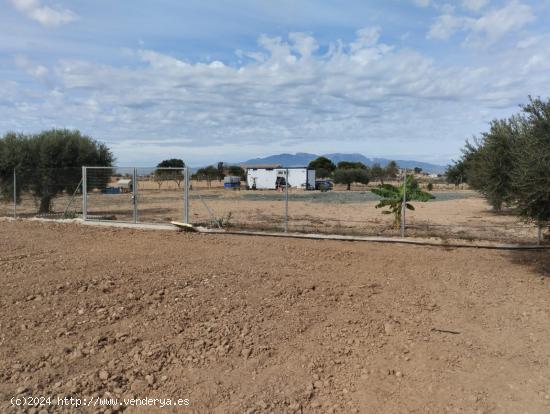 Terreno secano- Condado de Alhama, Alhama de Murcia - MURCIA