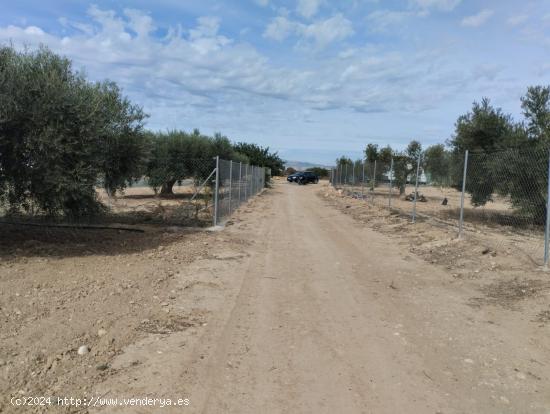 Terreno secano- Condado de Alhama, Alhama de Murcia - MURCIA