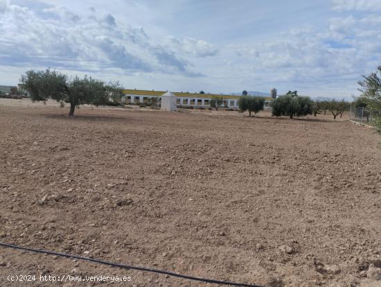 Terreno secano- Condado de Alhama, Alhama de Murcia - MURCIA