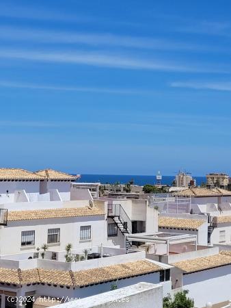 Bungalow alto con solarium privado Punta Prima - ALICANTE