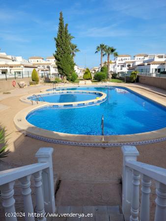 Bungalow alto con solarium privado Punta Prima - ALICANTE