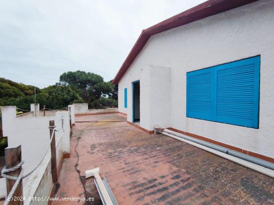 Fantástico local y vivienda en Urbanización Costa-Bella, Guardamar del Segura, Alicante - ALICANTE