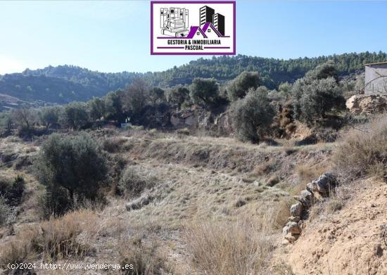 TERRENO EN VENTA EN ALCAÑIZ. Ref TR08102023 - TERUEL