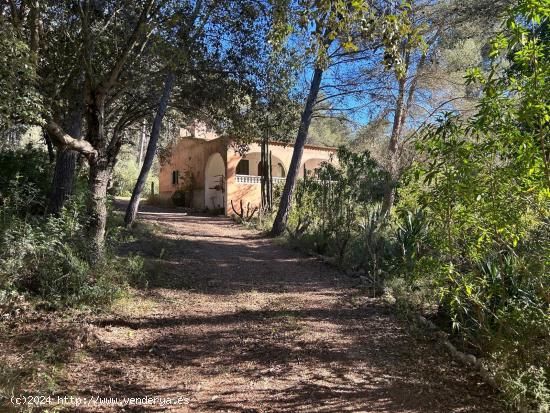 FINCA RÚSTICA CON CASA Y PISCINA - BALEARES