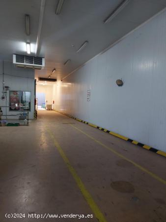 NAVE INDUSTRIAL EN VENTA - BARCELONA