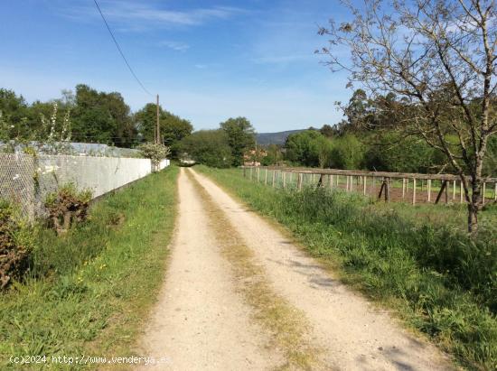 Vistamar Galicia comercializa en exclusiva parcela en A Estrada. - PONTEVEDRA