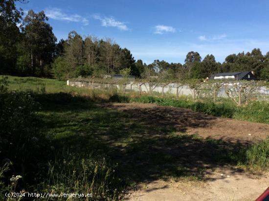 Vistamar Galicia comercializa en exclusiva parcela en A Estrada. - PONTEVEDRA